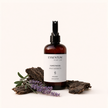 FORESTWOOD  ∣ INSPIRADO EN ABERCROMBIE & FITCH
