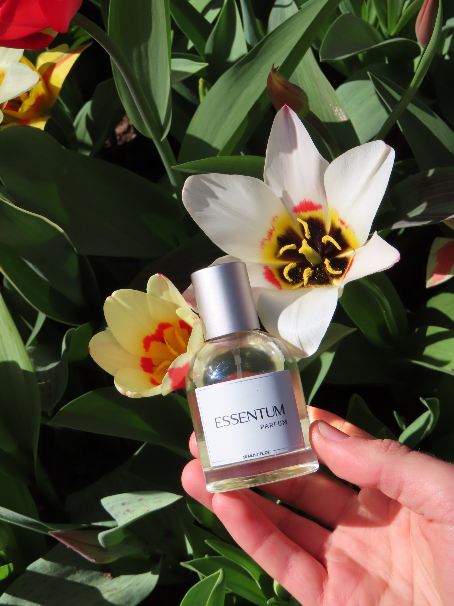 MOM SCENT KIT